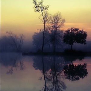 Meet your Posher, Mauna